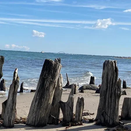 Ostsee - Nr 81 