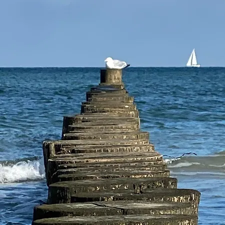 Ostsee - Nr 81 